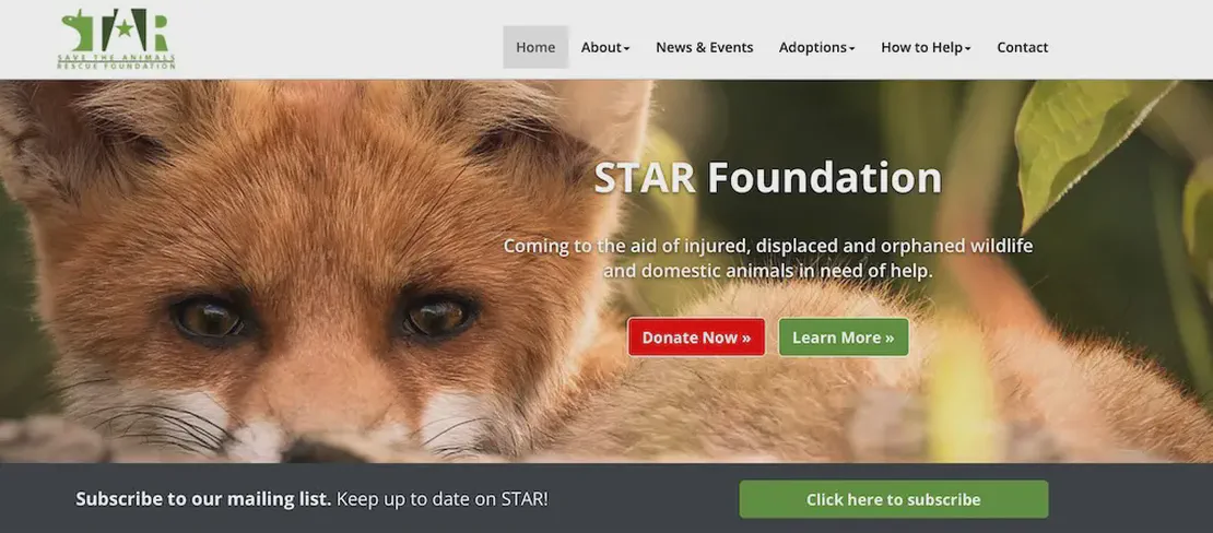 Star Foundation