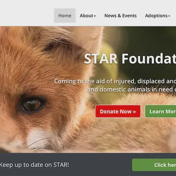Star Foundation